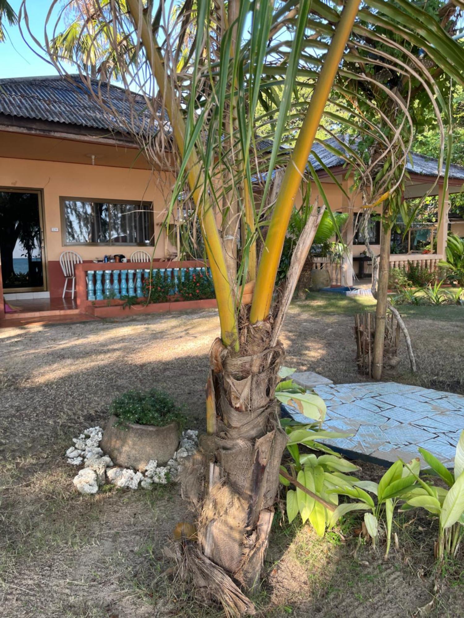 Baanyaiguesthouse Koh Mak Exteriér fotografie